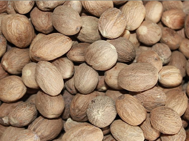 寧波港進(jìn)口肉豆蔻通關(guān)一站式進(jìn)口代理 肉豆蔻進(jìn)口報(bào)關(guān).jpg