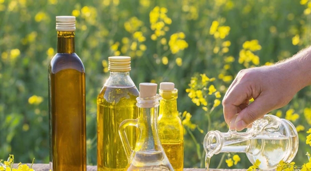 1629974353851449.jpg 上海菜籽油進口報關代理公司_副本.jpg