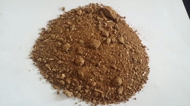 菜籽粕進口清關(guān)可以操作的公司有哪些 菜籽粕進口清關(guān)