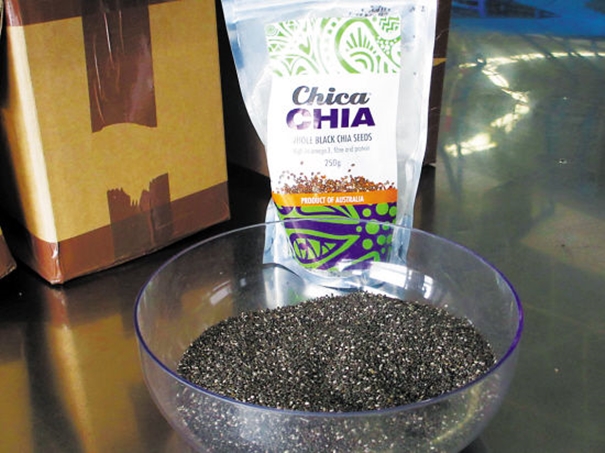 奇亞籽進(jìn)口清關(guān)公司告訴你申報(bào)所需資料 奇亞籽進(jìn)口清關(guān)公司_副本.jpg