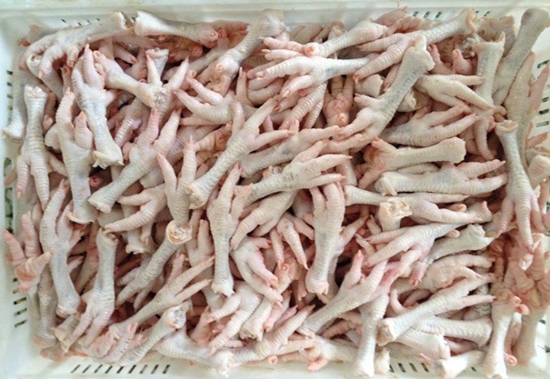 1630295326691201.jpg 雞爪清關(guān)進(jìn)口_副本.jpg