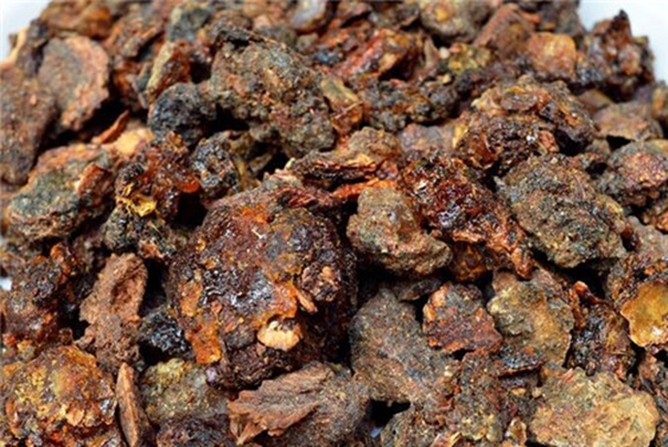 沒(méi)藥報(bào)關(guān)報(bào)檢代理公司告訴你進(jìn)口報(bào)關(guān)方案 沒(méi)藥報(bào)關(guān)報(bào)檢代理公司.jpg